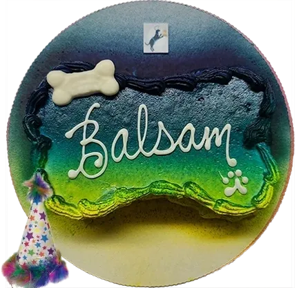 Colorful cake with "Balsam," paw, and bone.