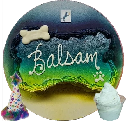 Colorful cake with "Balsam" and dog bone.