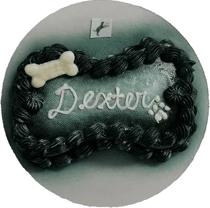 Bone-shaped dog cake with "Dexter" decoration.