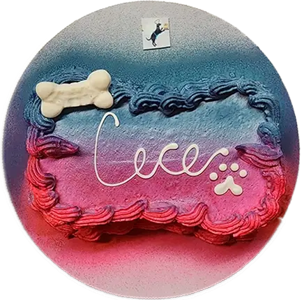 Colorful cake with bone and "Cece" text.
