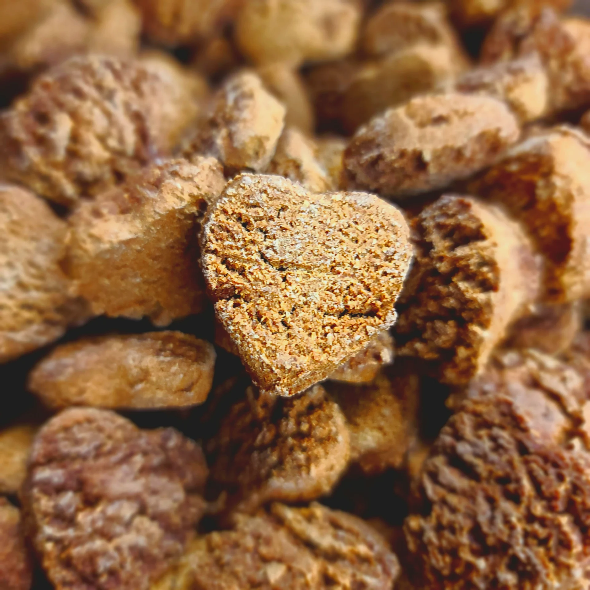 Heart-shaped cereal piece among round cereal pieces.