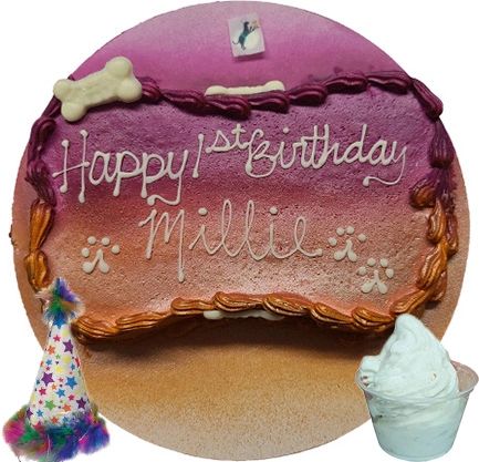 Dog birthday cake with party hat and ice cream.