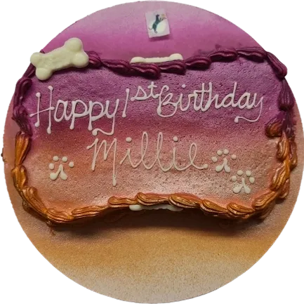 Colorful dog birthday cake with bone decorations.