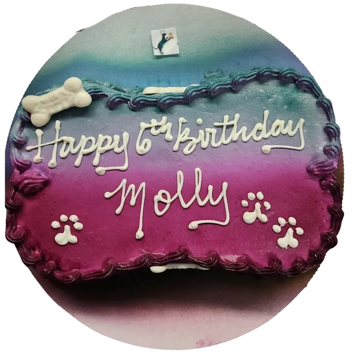 Colorful birthday cake with dog bone decoration.