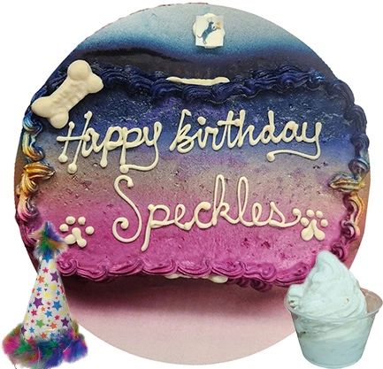 Birthday cake for Speckles with decorations.