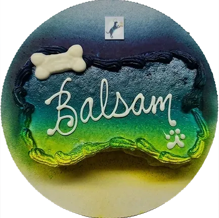 Colorful dog bone cake with "Balsam" text.