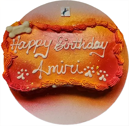 Orange birthday cake with bone decoration.