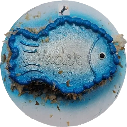 Blue fish-shaped cake with "Vader" text.