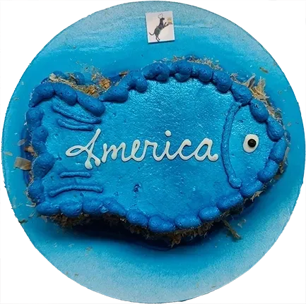 Blue fish-shaped cake with "America" text.