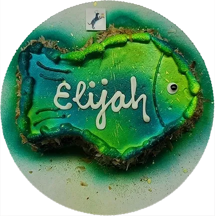 Fish-shaped cake with "Elijah" written on it.