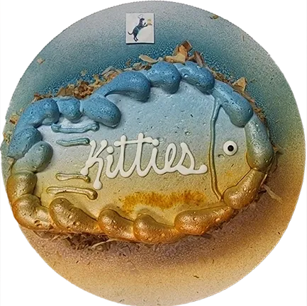 Colorful fish-shaped cake with "Kitties" text.