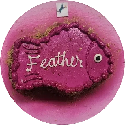 Pink fish-shaped cake with "Feather" text.