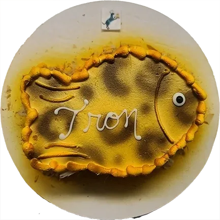 Fish-shaped cake with "Iron" written on it.