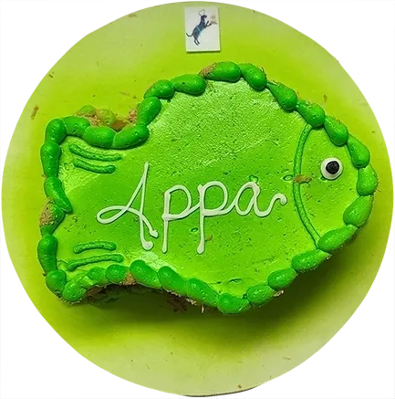 Green fish-shaped cake with "Appa" text.