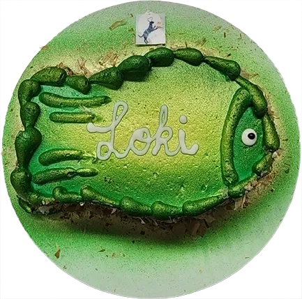 Green fish-shaped cake with "Loki" decoration.