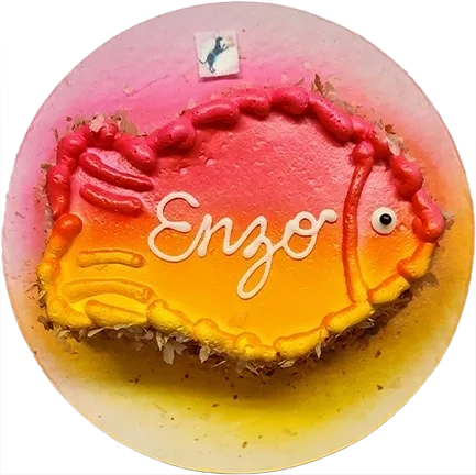 Colorful fish-shaped cake with "Enzo" decoration.