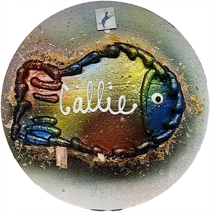 Colorful fish-shaped cake with "Callie" text.
