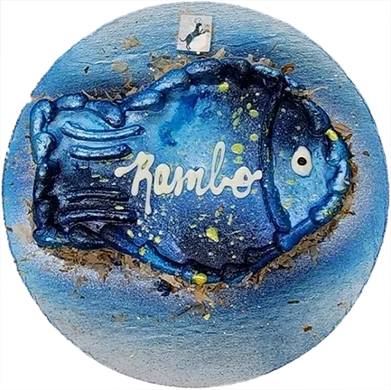 Blue fish-shaped cake with "Rambo" text.