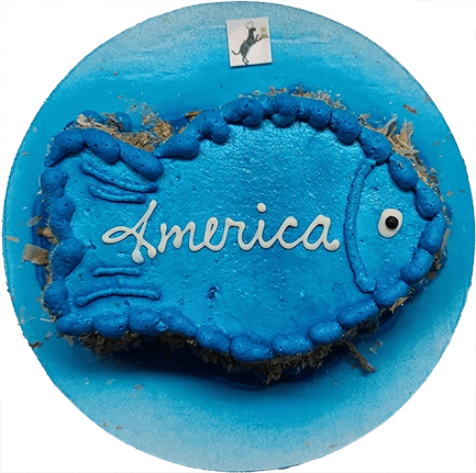 Blue fish-shaped cake with "America" text.