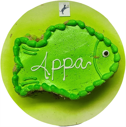 Green fish-shaped cake with "Appa" text.