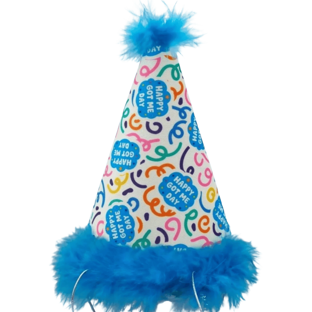 Birthday hat with festive design