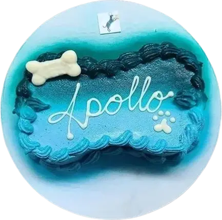 Blue dog bone cake with "Apollo" writing.