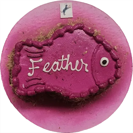 Fish-shaped cake on pink background