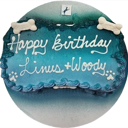 Blue birthday cake for Linus and Woody.