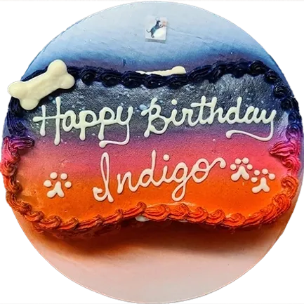 Birthday cake with "Happy Birthday Indigo" message.
