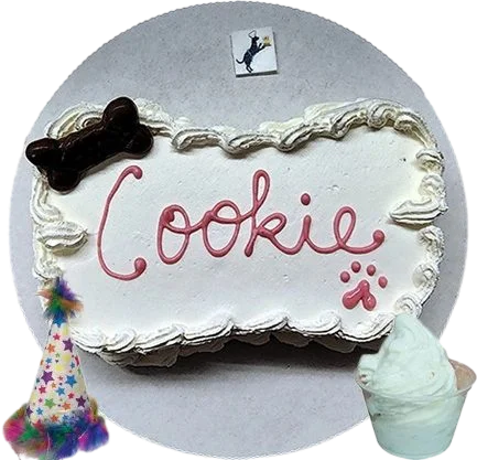6″ Birthday Party Classic Package 3 Classic Pink