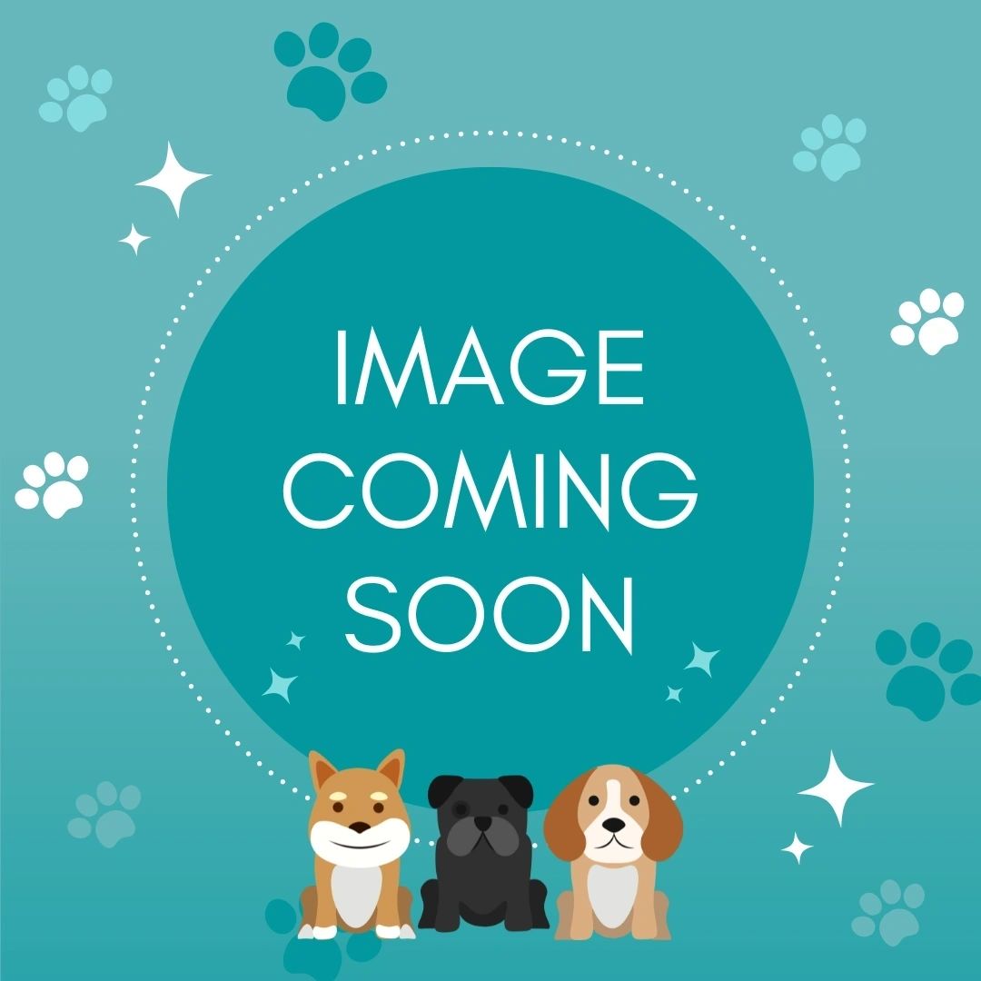Image coming soon with cute dogs