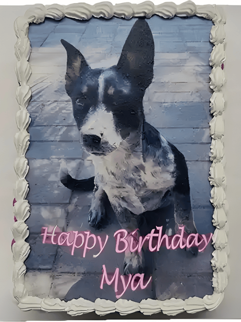 Dog-themed birthday cake with text