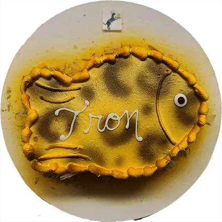 Fish-shaped cake with "Tron" icing