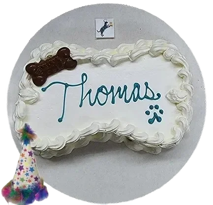 Dog bone cake with "Thomas" icing.