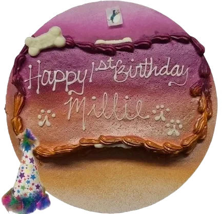 Colorful dog birthday cake with hat decoration.