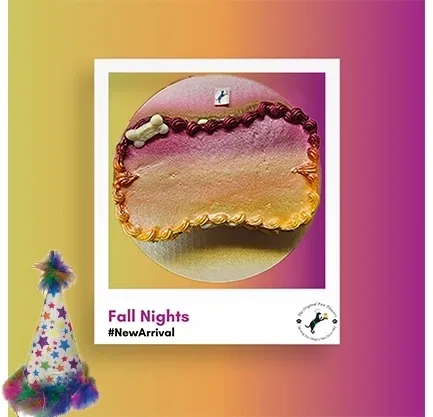 Decorative cake with bone-shaped topping