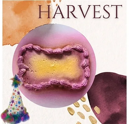 Creative blend of textures and colors