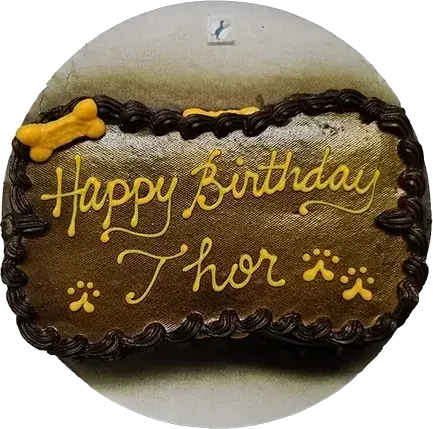 Dog-themed birthday cake with "Happy Birthday Thor.