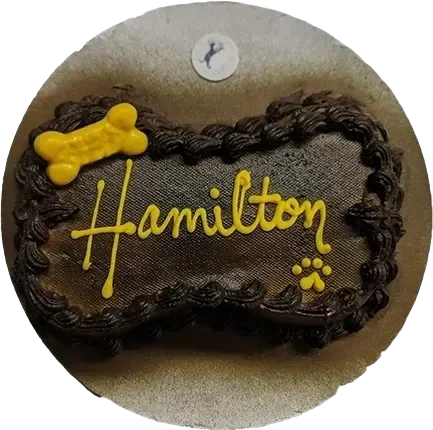 Dog treat with "Hamilton" written in icing.
