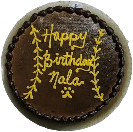 Chocolate cake with "Happy Birthday Nala" icing.