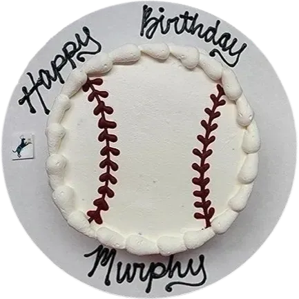 Baseball-themed birthday cake with icing decoration.