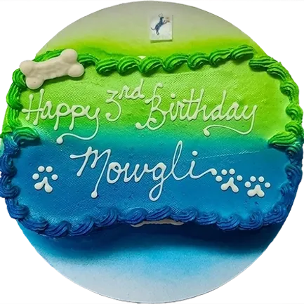 Colorful dog birthday cake with bone decoration.