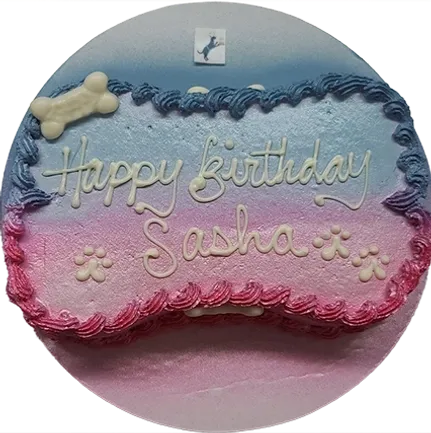 Dog-themed birthday cake with "Happy Birthday Sasha.