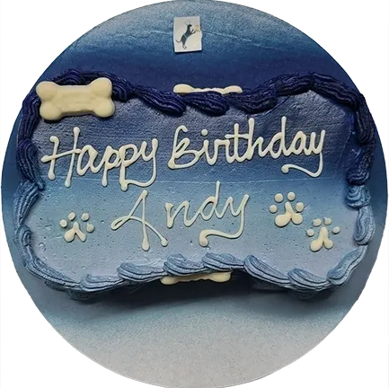 Blue birthday cake with "Happy Birthday Andy.
