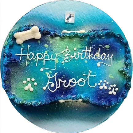 Blue birthday cake with "Happy Birthday Groot.