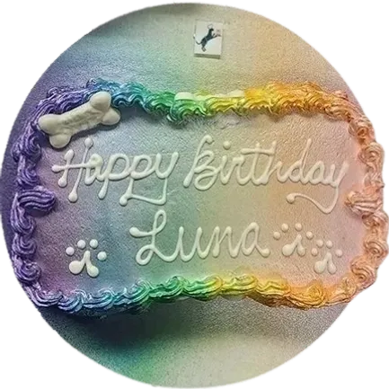 Rainbow dog cake with "Happy Birthday Luna.