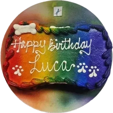 Rainbow dog cake with "Happy Birthday Luca.