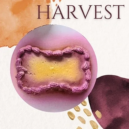 Abstract art with the word "Harvest.