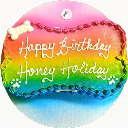 Rainbow dog birthday cake with bone decoration.