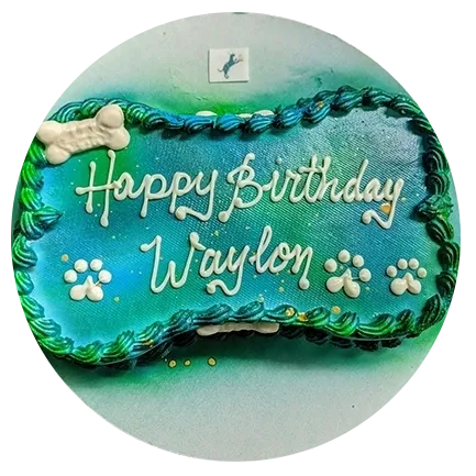 Dog bone-shaped birthday cake for Waylon.